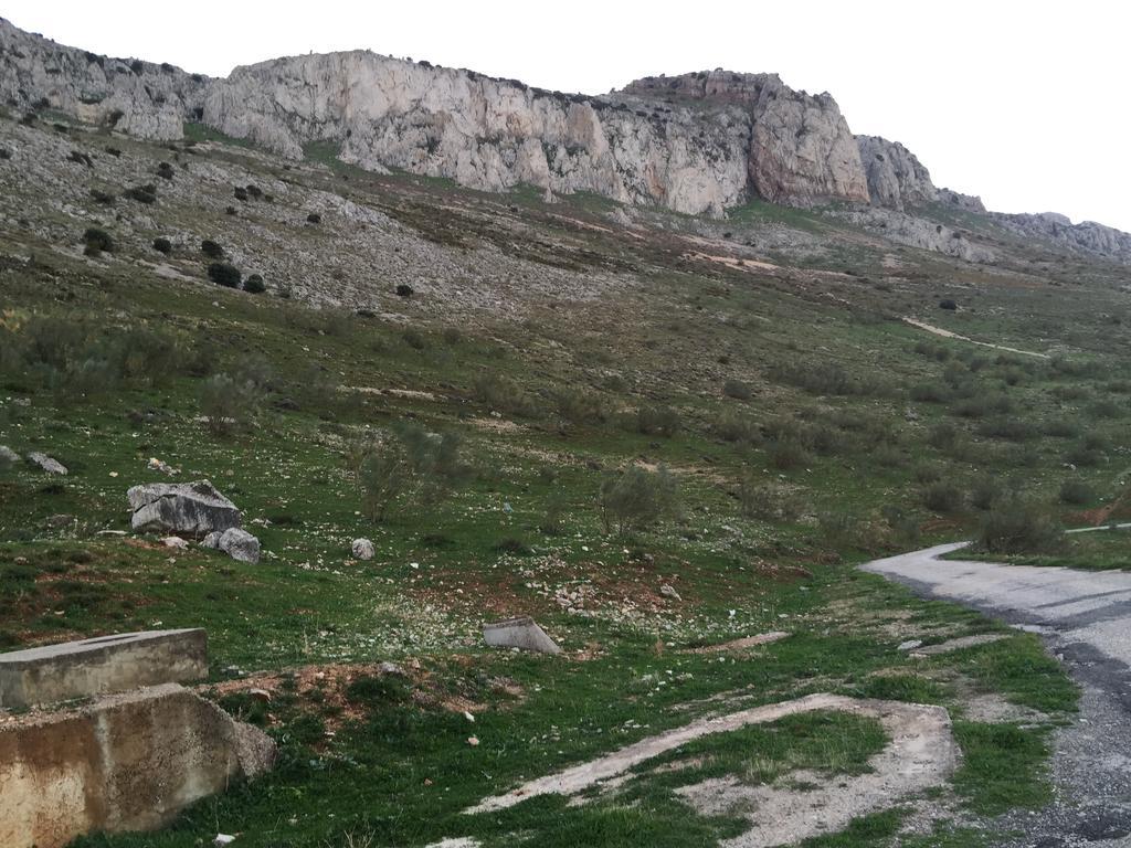 Hotel Antequera Rural Fortes La Nuit Mollina المظهر الخارجي الصورة