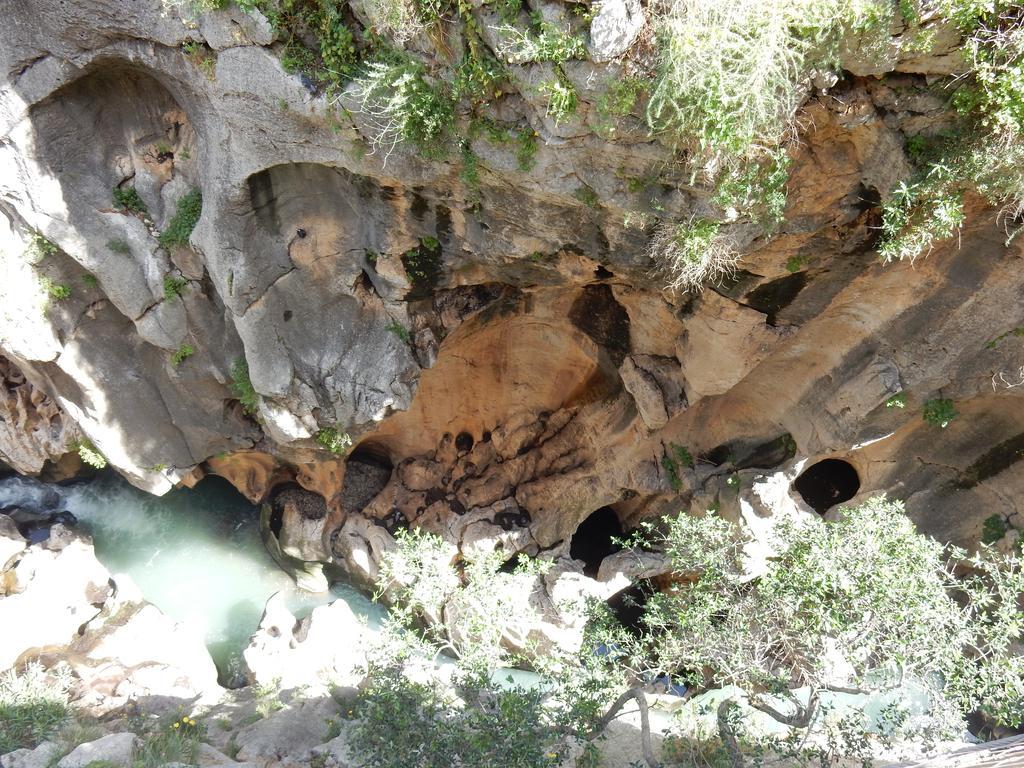 Hotel Antequera Rural Fortes La Nuit Mollina المظهر الخارجي الصورة